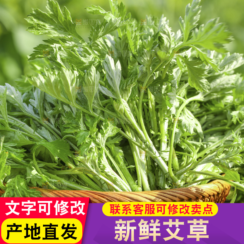 手里拿着新鲜艾草