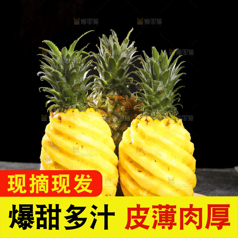 深底上的徐闻菠萝