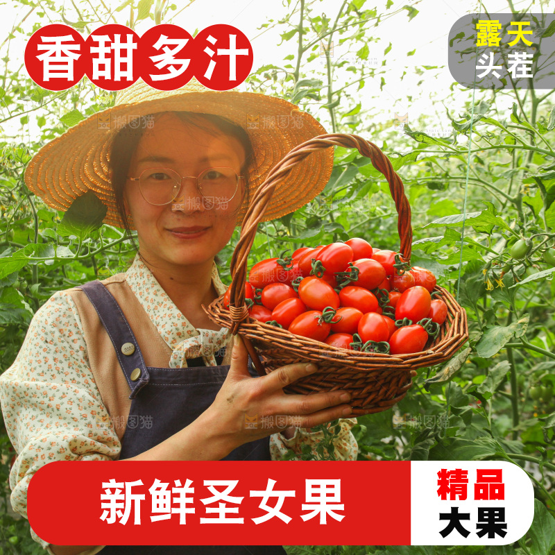 手里拿着新鲜圣女果