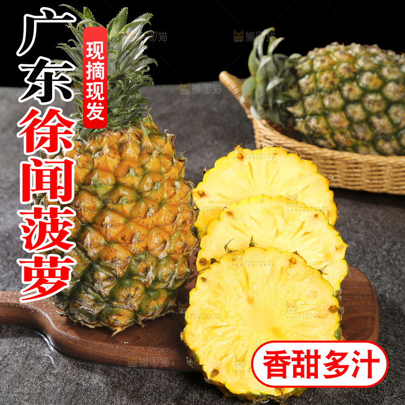 深底上的徐闻菠萝