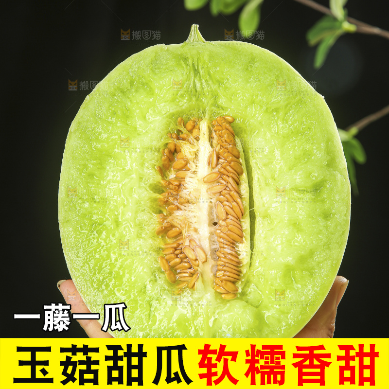 深底上的玉菇甜瓜