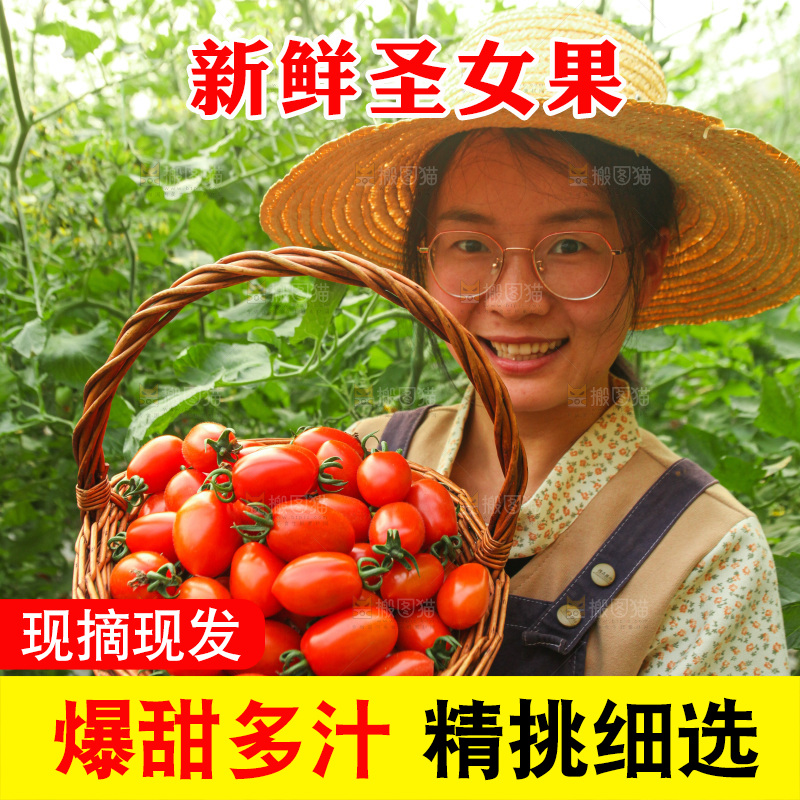 手里拿着新鲜圣女果