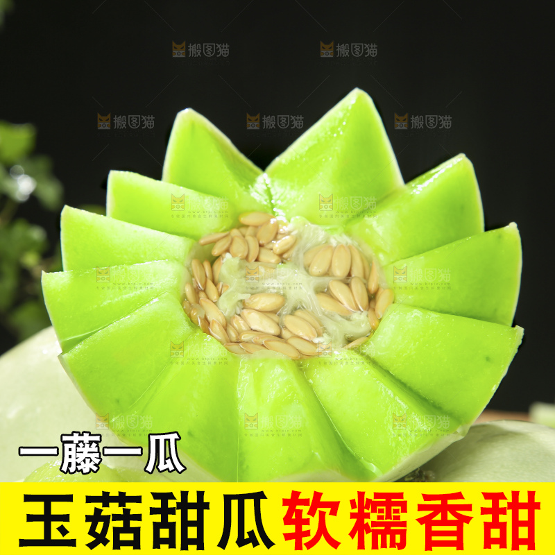 深底上的玉菇甜瓜