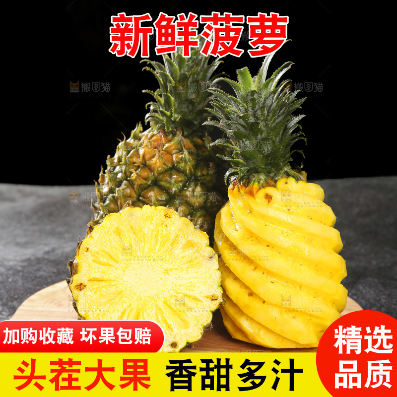 深底上的徐闻菠萝