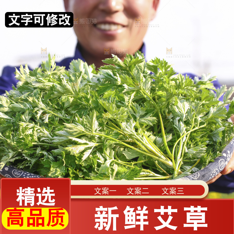 手里拿着新鲜艾草