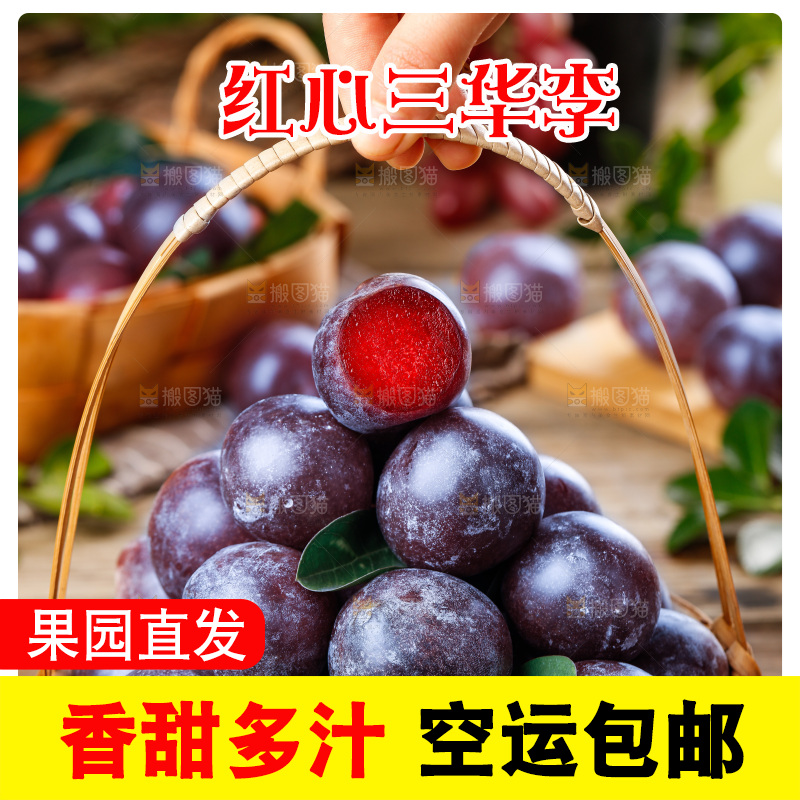木底上的红肉三华李