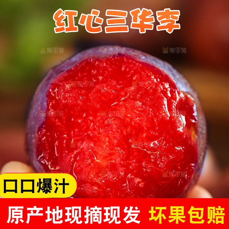 木底上的红肉三华李