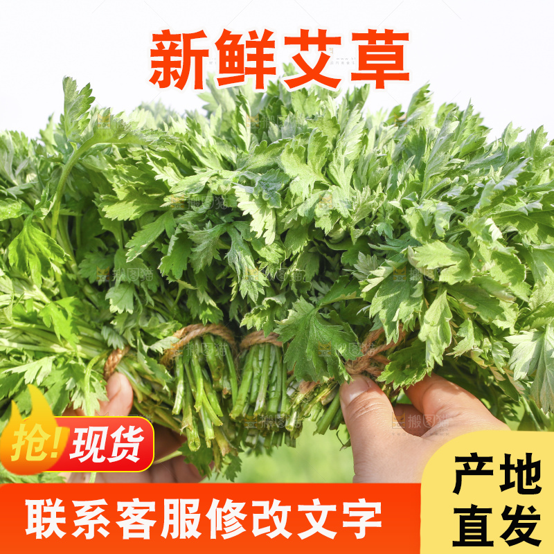 手里拿着新鲜艾草
