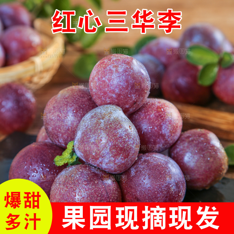 木底上的红肉三华李