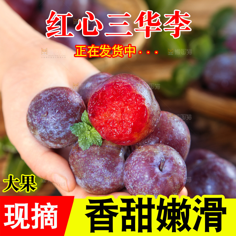 木底上的红肉三华李