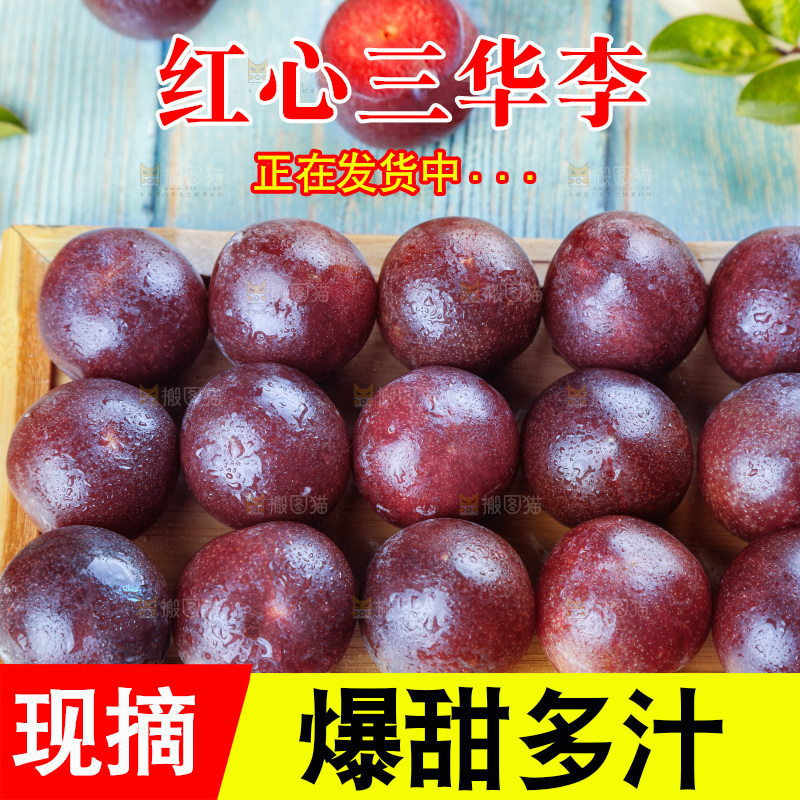 木底上的红肉三华李