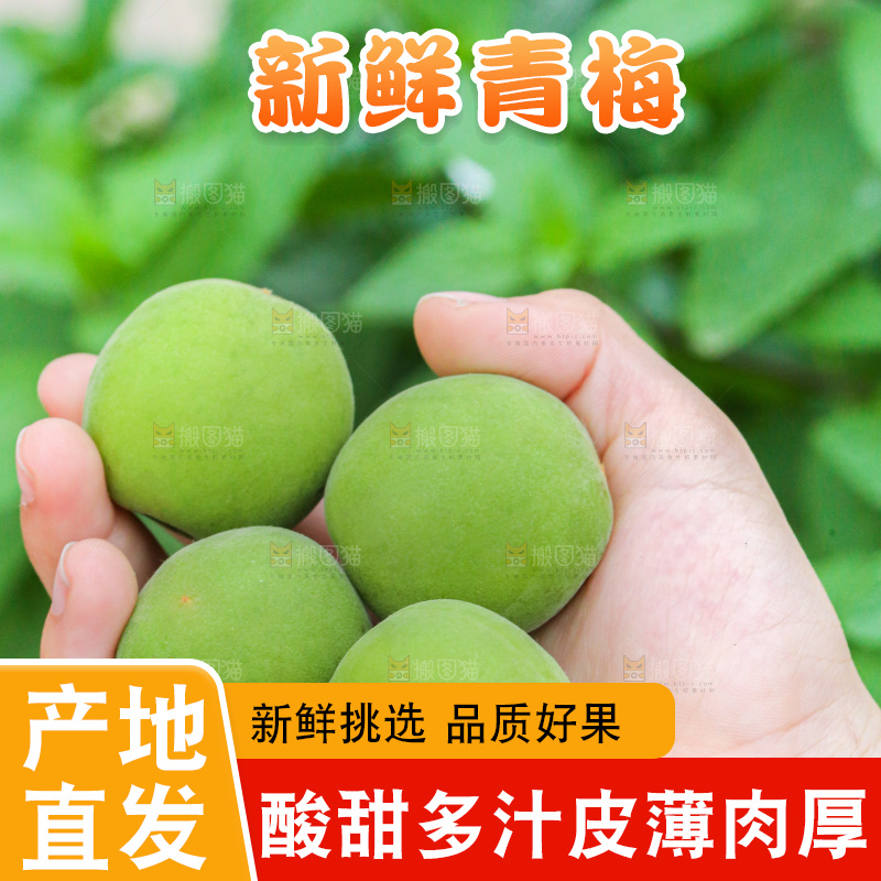 手里拿着新鲜青梅