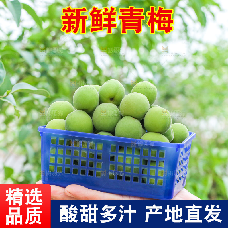 手里拿着新鲜青梅