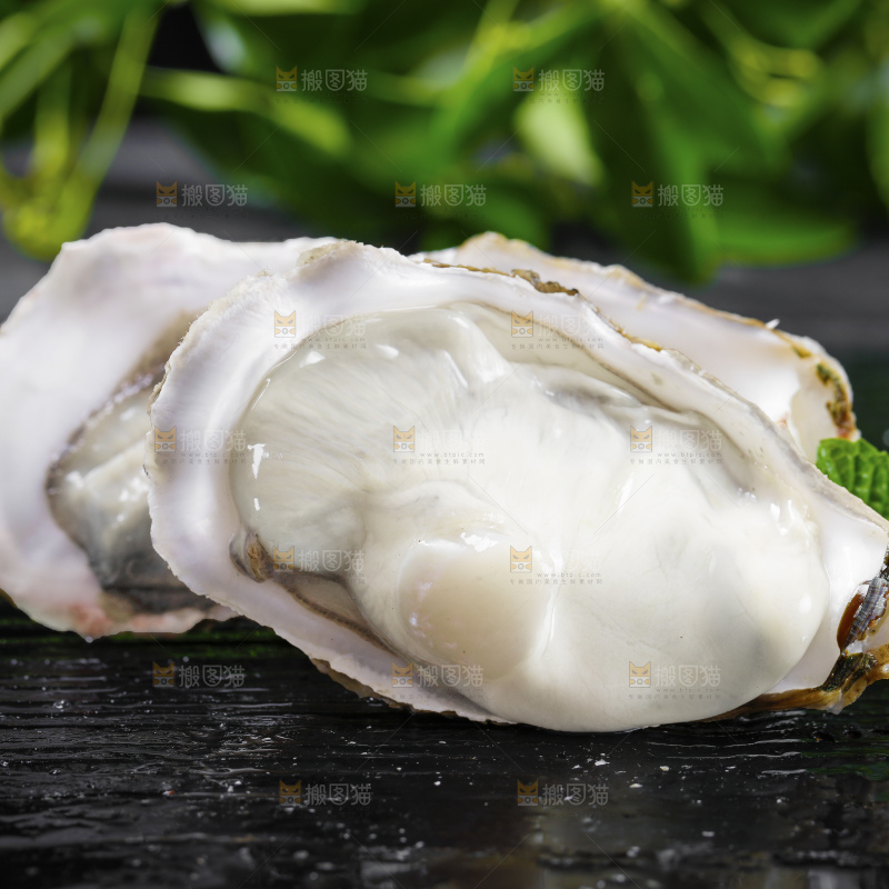 深底上的乳山生蚝