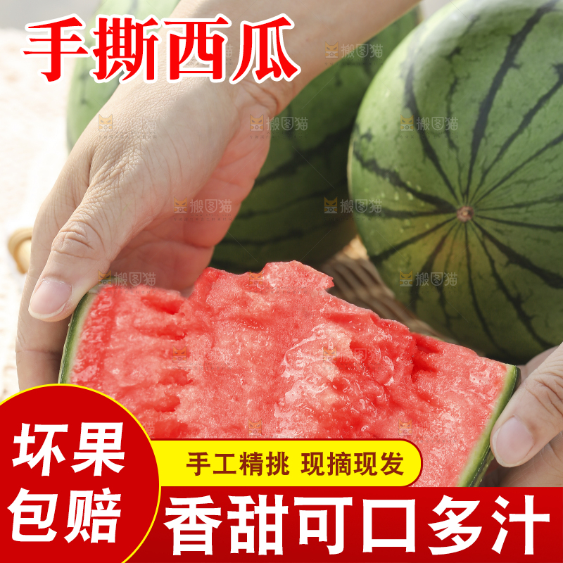 手里拿着红瓤西瓜