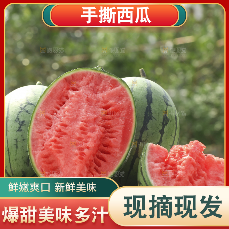 手里拿着红瓤西瓜