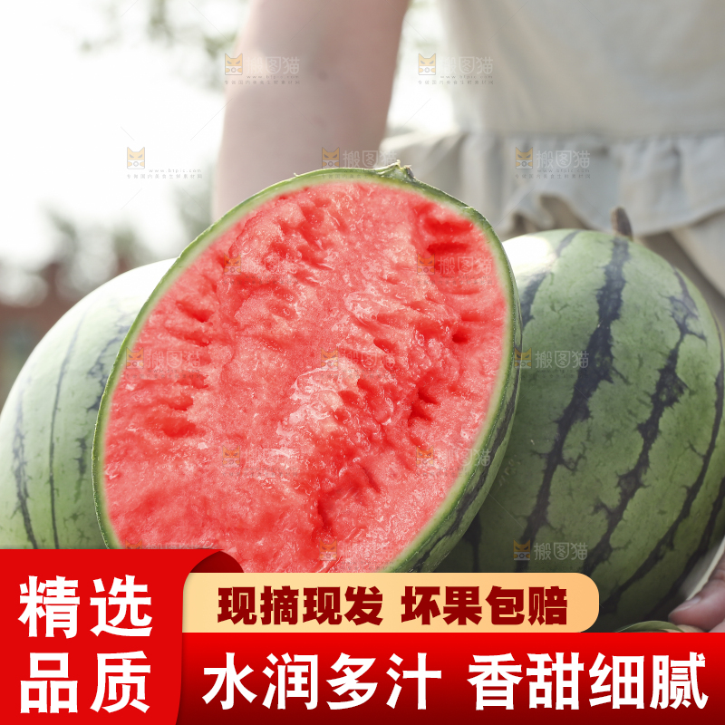 手里拿着红瓤西瓜