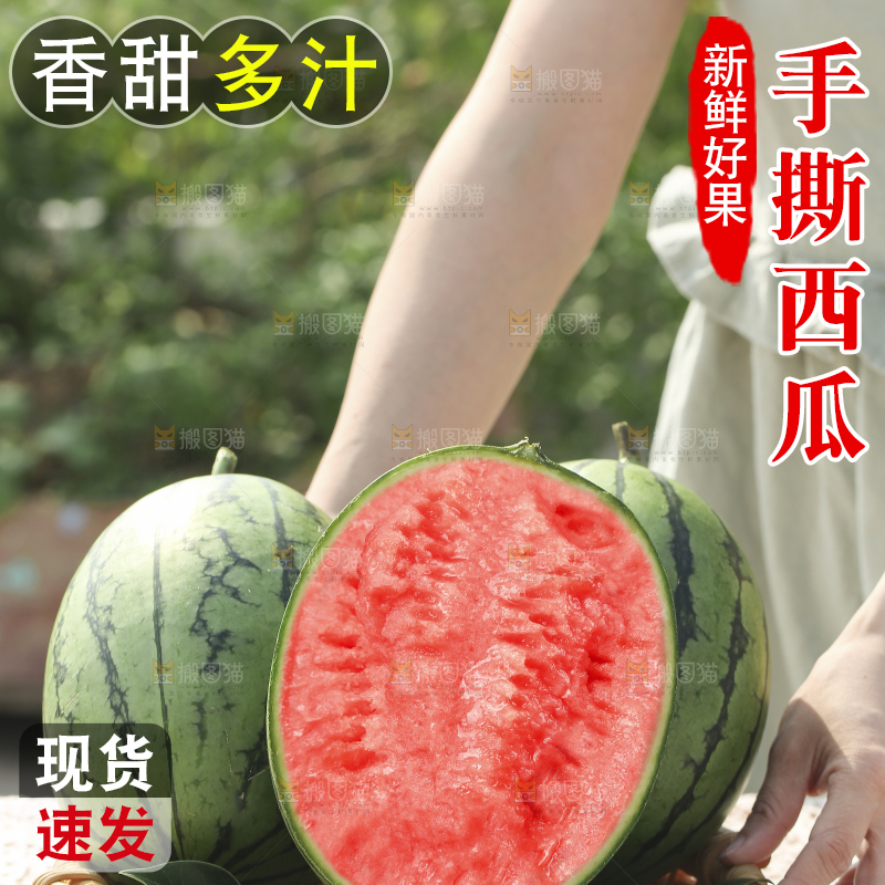 手里拿着红瓤西瓜