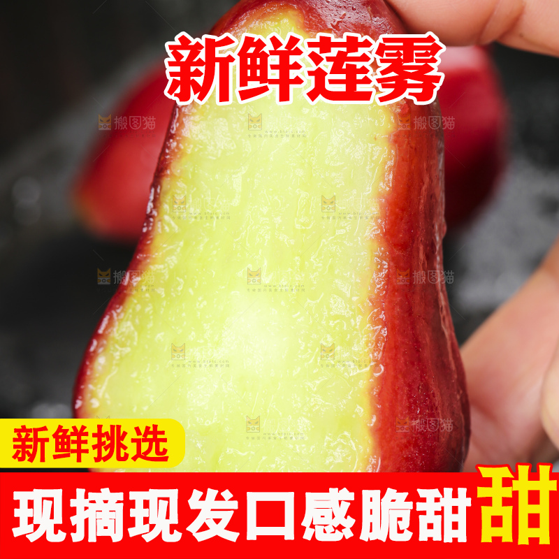 浅底上的莲雾