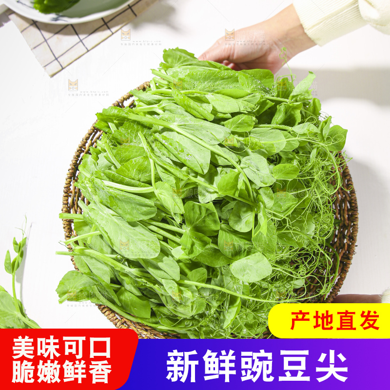 浅底上的豌豆尖