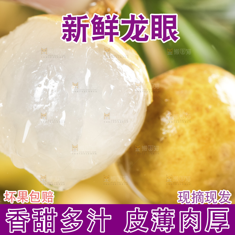 深底上的石硖龙眼