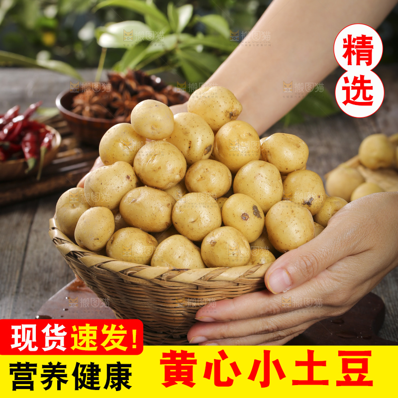 深底上的小土豆