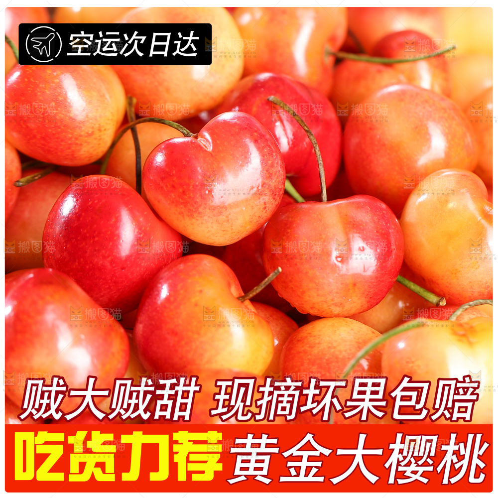 黄樱桃主图