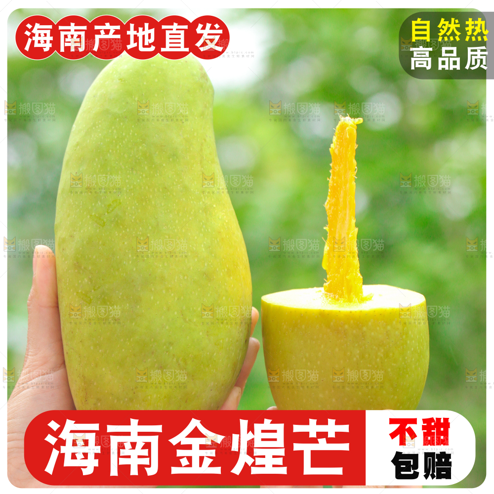 金煌芒主图