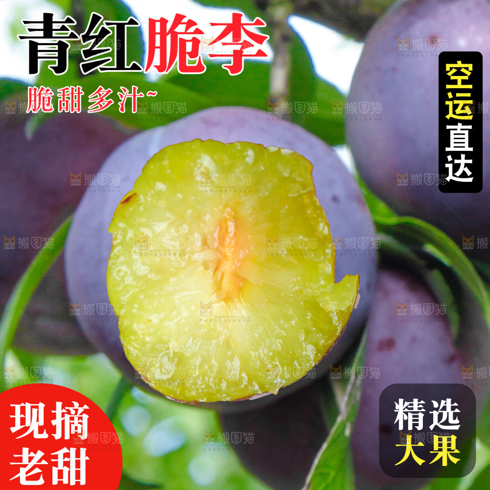 五月脆李主图