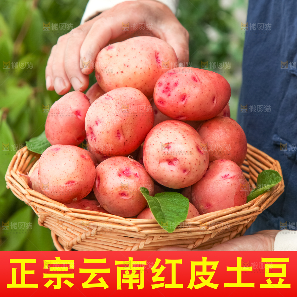 红皮土豆主图
