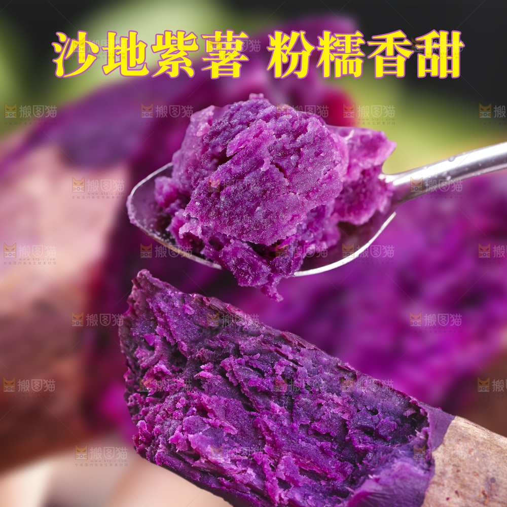 紫罗兰紫薯主图
