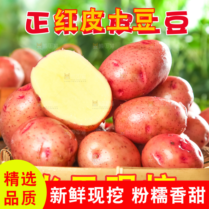 红皮土豆主图