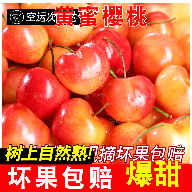 黄樱桃主图