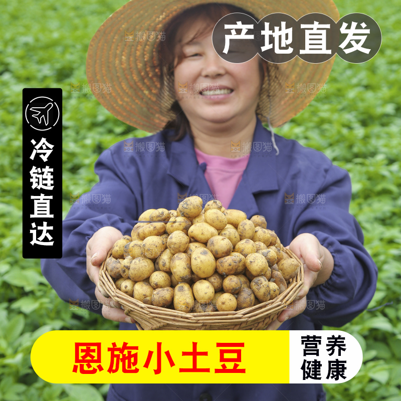 田地里的黄皮小土豆
