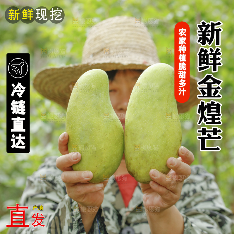 手里拿着金煌芒