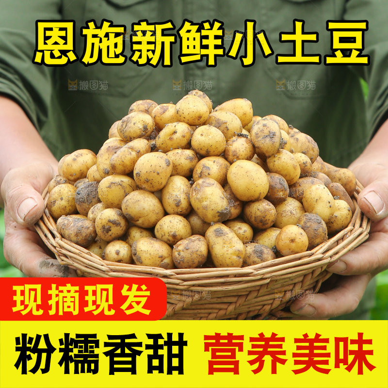 新鲜小土豆主图