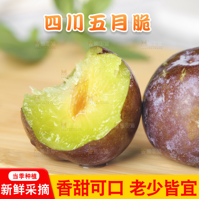 浅底上的五月脆李