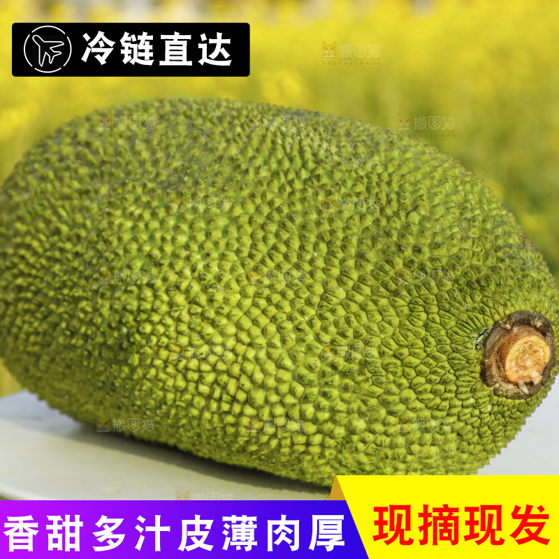 深底上的红肉菠萝蜜