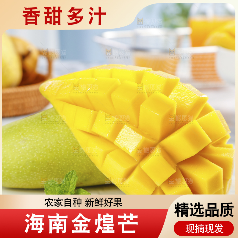 浅底上的绿皮金煌芒