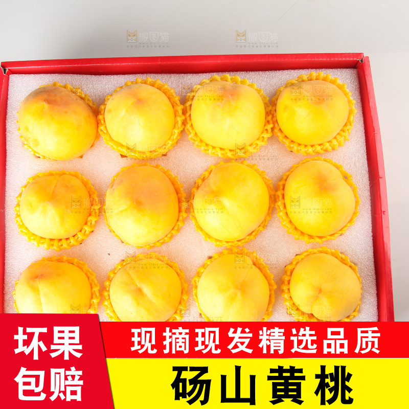 白底上的黄毛桃