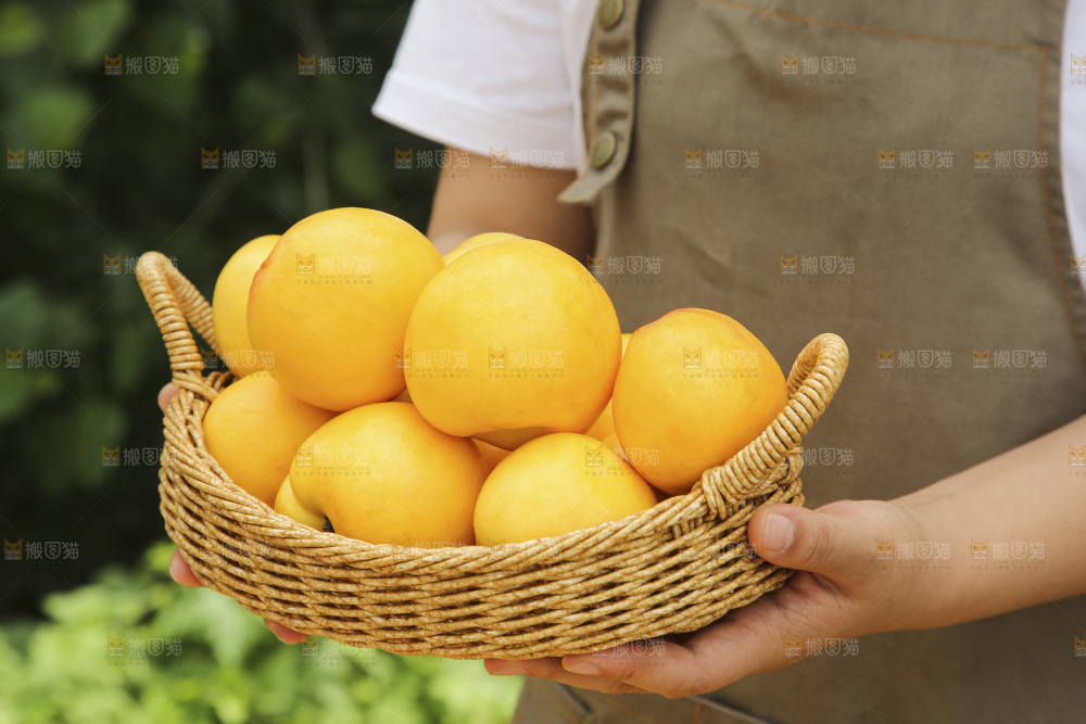 手里拿着黄油桃