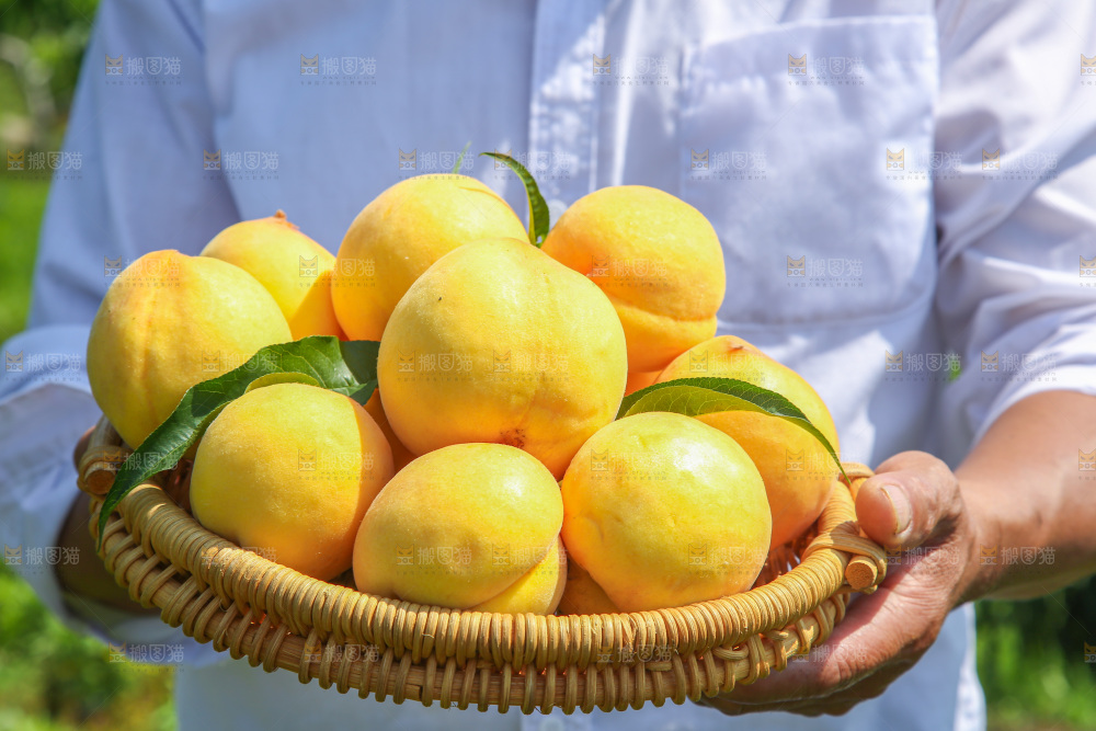 黄桃