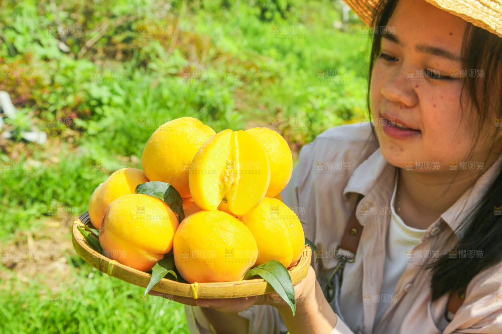 手里拿着黄毛桃