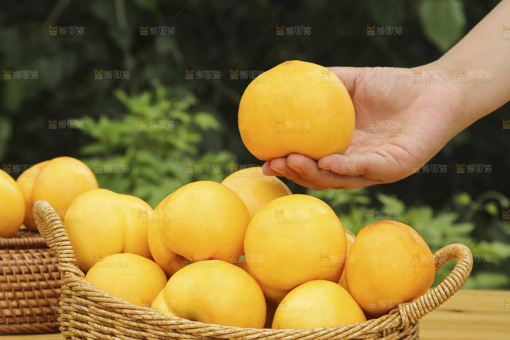 手里拿着黄油桃