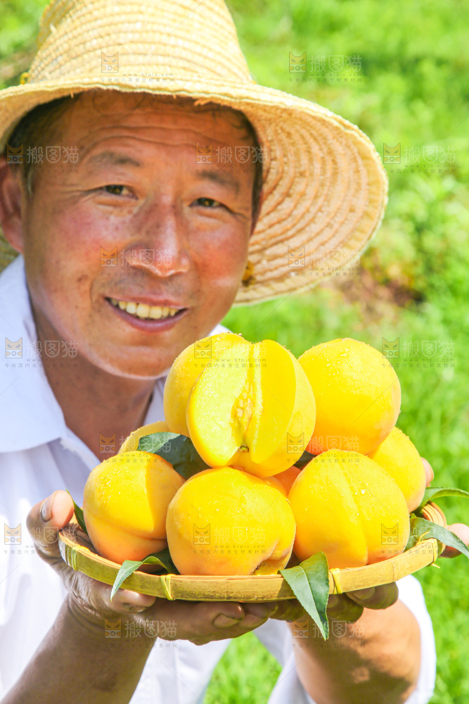 手里拿着黄毛桃