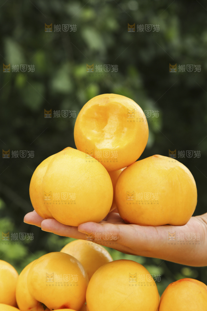 手里拿着黄油桃