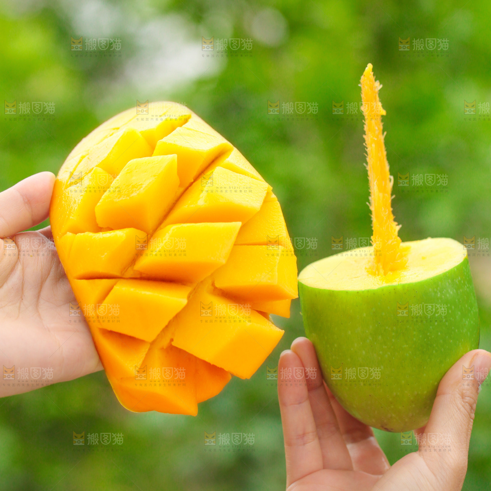 浅底上的绿皮金煌芒