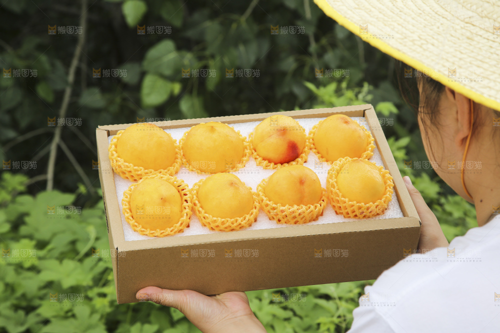 手里拿着黄油桃