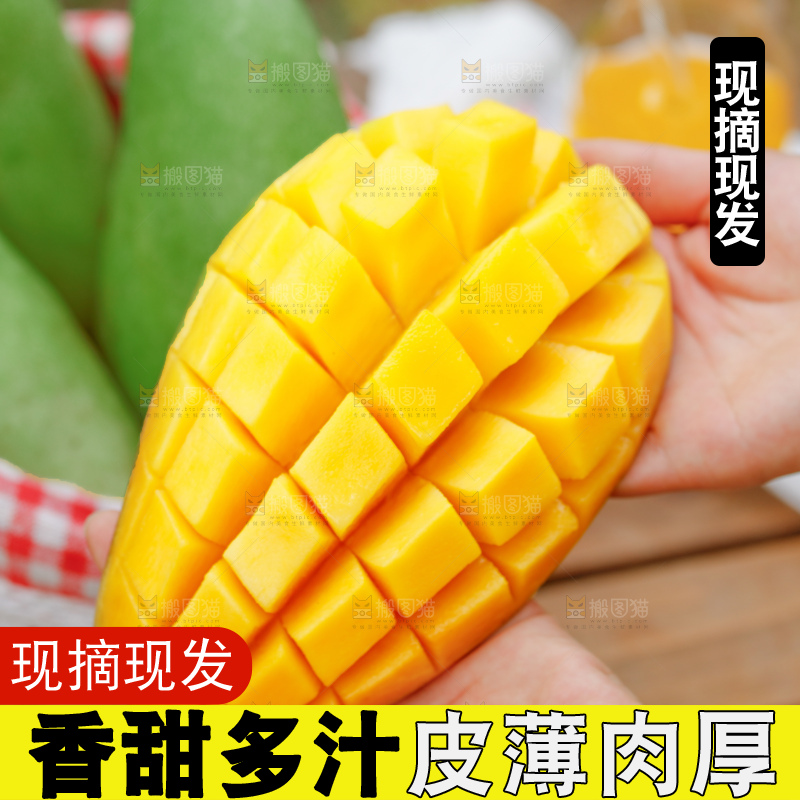 浅底上的绿皮金煌芒