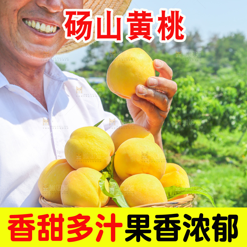 手里拿着黄毛桃
